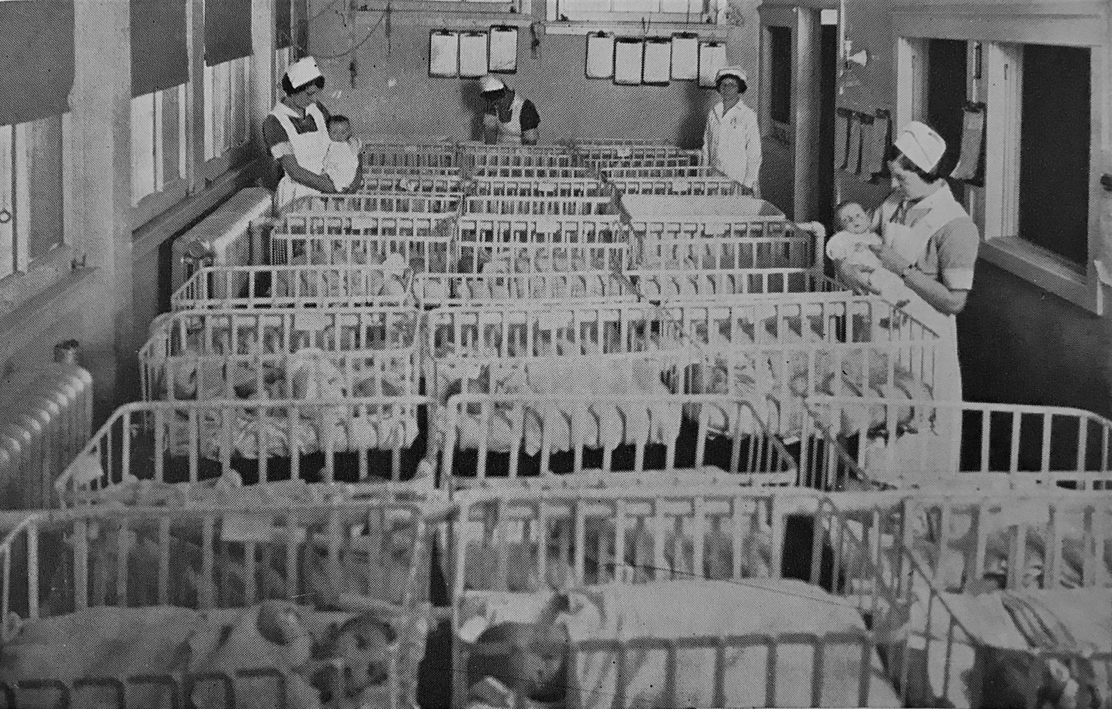 One of the nurseries at The Willows. The facility had space for as many as 125 babies at a time.
