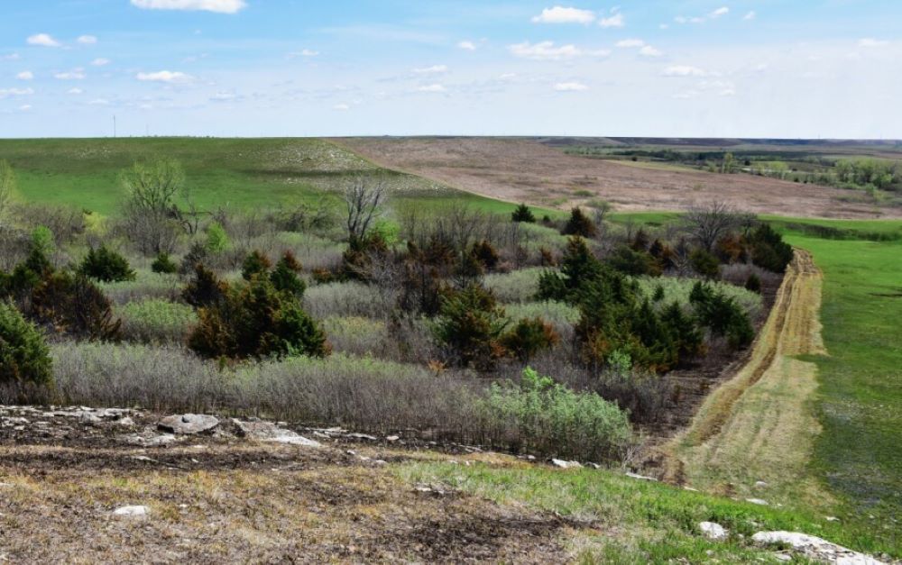 Image - Trees are Spreading Across the Great Plains, Making Climate Change Worse