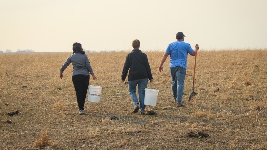 Three people walking in a pasture.