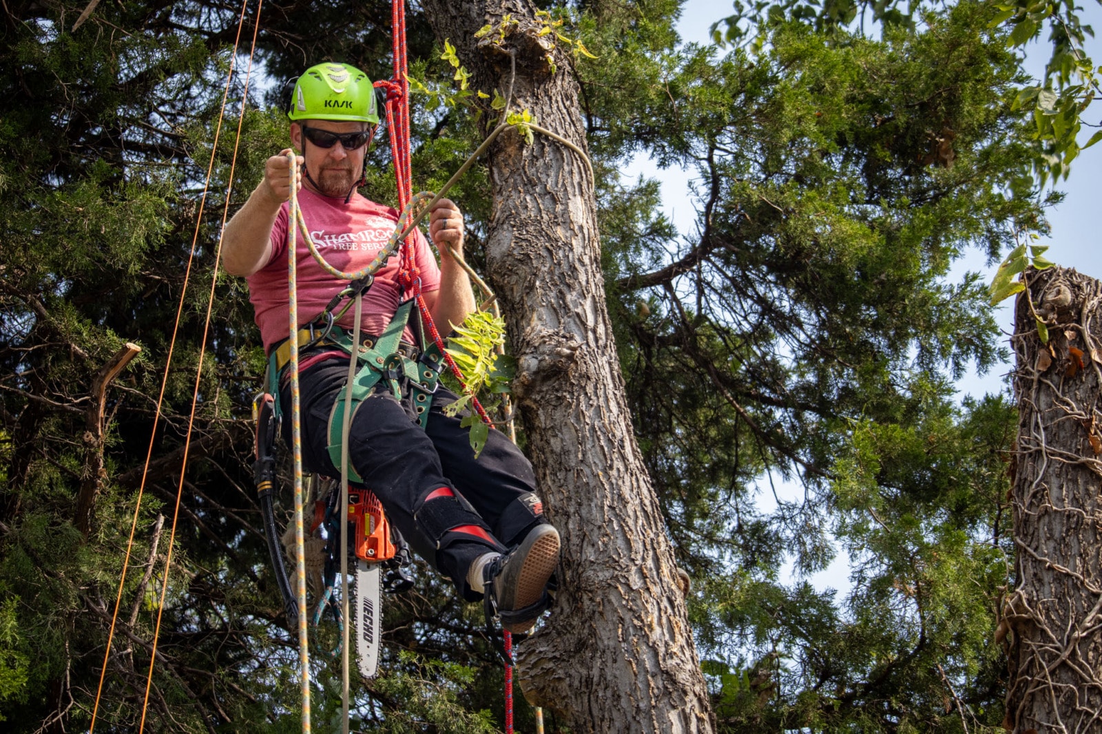 A Man in a red shirt and neon green hardhat hangs by a series of ropes from a tree. A chainsaw hangs behind him.