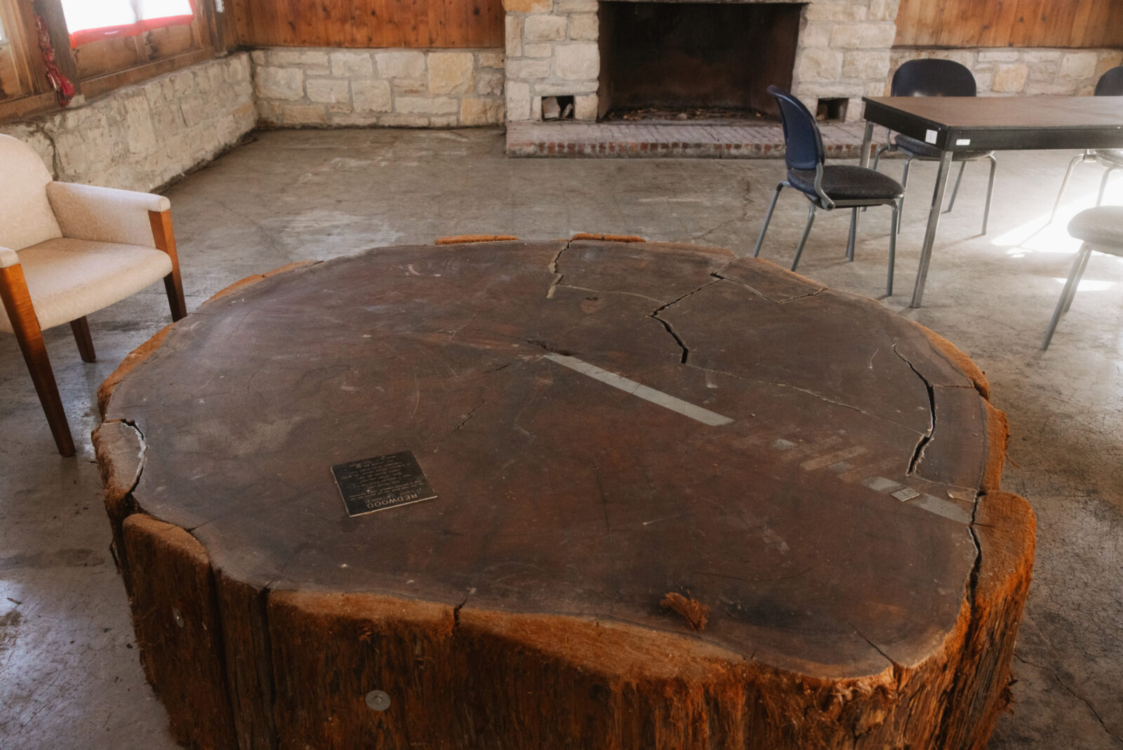A placard displays information about a Redwood tree cross-section at Hope Lodge in Swope Park. (Chase Castor | Flatland)